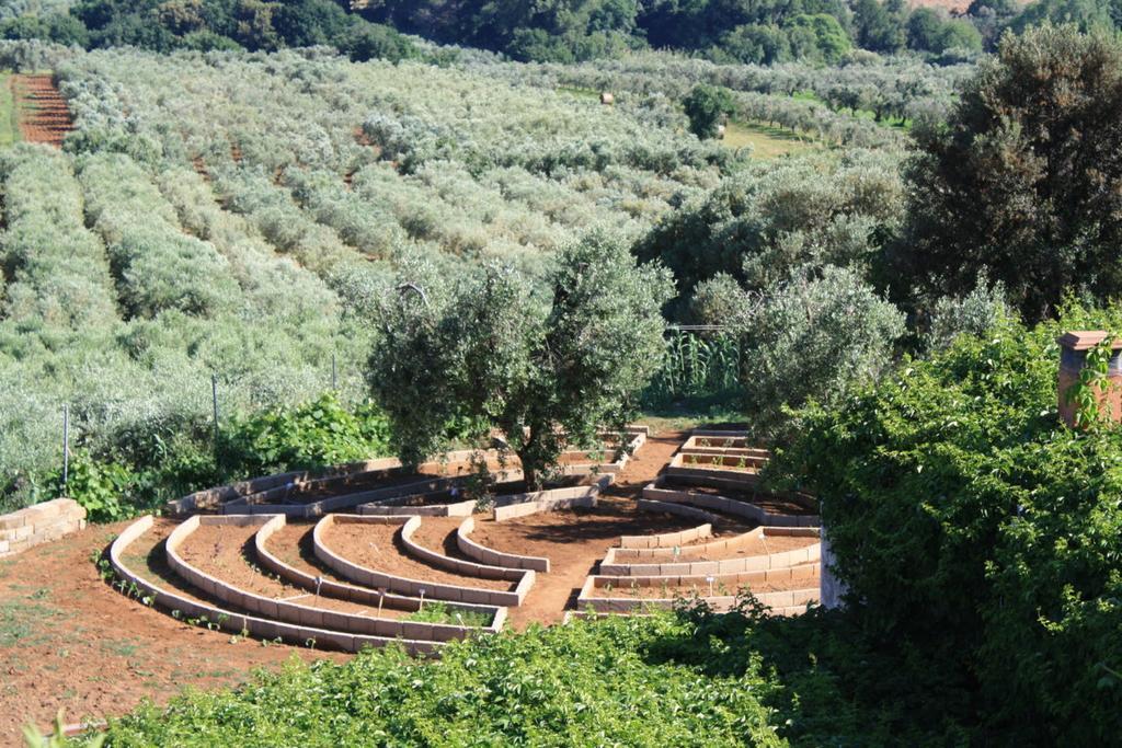 Agriturismo Ss Annunziata San Vincenzo Exteriör bild