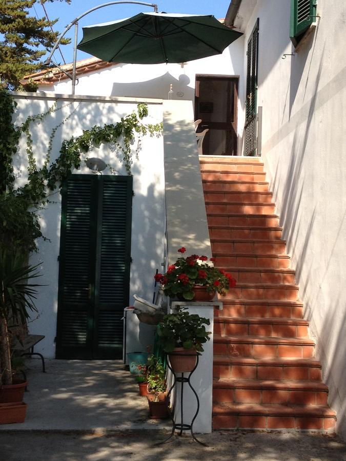 Agriturismo Ss Annunziata San Vincenzo Exteriör bild